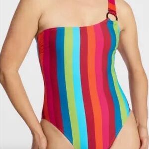 Colorful Striped Adult Swimsuit